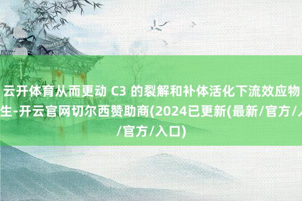 云开体育从而更动 C3 的裂解和补体活化下流效应物的产生-开云官网切尔西赞助商(2024已更新(最新/官方/入口)