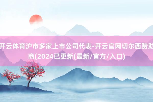 开云体育沪市多家上市公司代表-开云官网切尔西赞助商(2024已更新(最新/官方/入口)