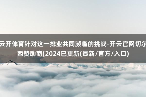 云开体育针对这一排业共同濒临的挑战-开云官网切尔西赞助商(2024已更新(最新/官方/入口)