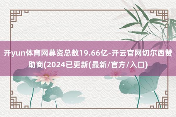 开yun体育网募资总数19.66亿-开云官网切尔西赞助商(2024已更新(最新/官方/入口)
